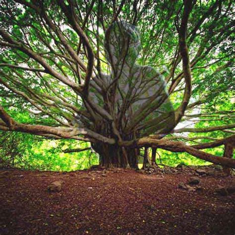 madan god worshipped  kerala temples hindu blog