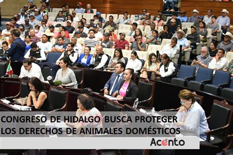 Congreso De Hidalgo Busca Proteger Y Salvaguardar Los Derechos De