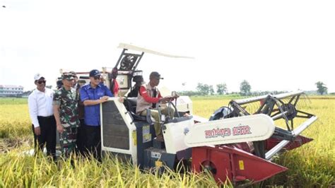 Kementan Akan Kembangkan Padi Varietas Unggul Terbaru IPB 9G Hasil