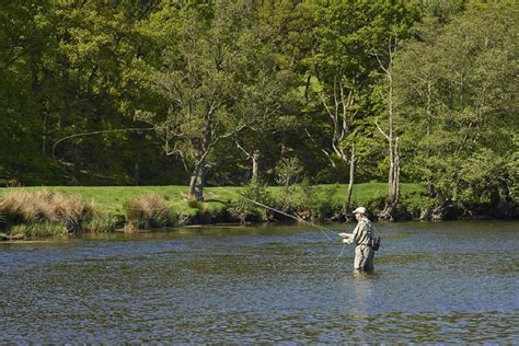 River Fishing In Wales For Wild Trout A Fly Fishers Paradise