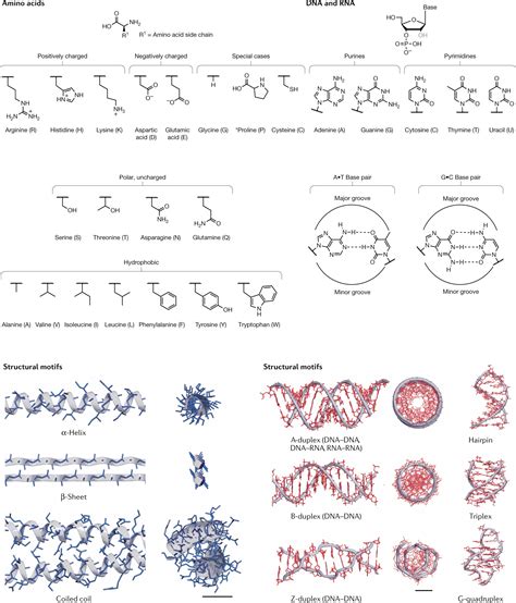 Compare And Contrast The Chemical Structure Of Carbohydrates Lipids