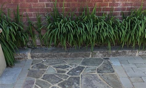 Reclaimed Crazy Paving Slabs Yorkstone Supplies