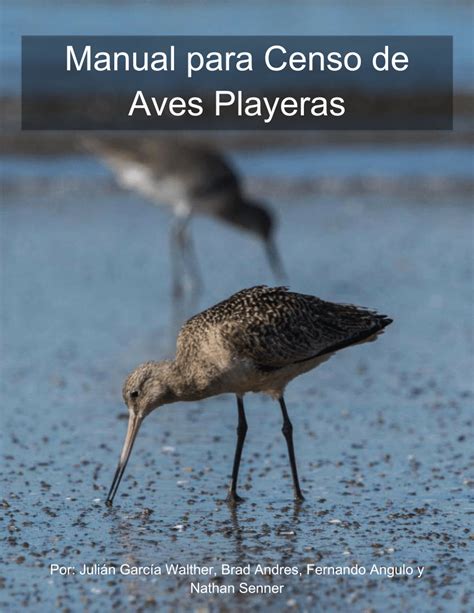 PDF Manual Para Censo De Aves Playeras