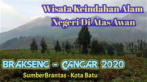 Wisata Alam Negeri Di Atas Awan Brakseng Cangar Batu Malang