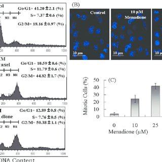 A Flow Cytometric Analysis Of The Cell Cycle Distribution Of Hela