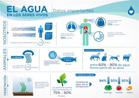 El Agua Imágenes Folletos Afiches Reportajes Importancia Del