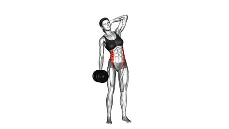 Dumbbell Side Bend Video Guide Lyfta