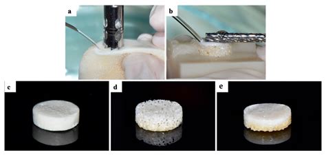 IJMS Free Full Text Bone Reconstruction Using Two Layer Porcine