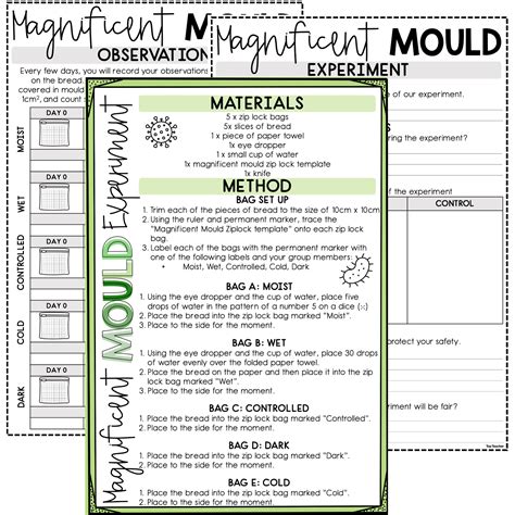 Magnificent Mould Experiment Top Teacher