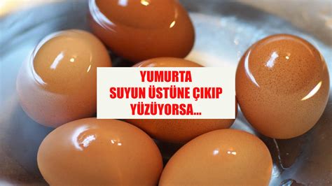 Yumurta suyun üstüne çıkıp yüzüyorsa