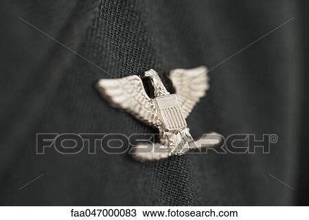 Banque De Photo Colonel Insigne Aigle Militaire Pingle