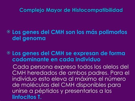 Complejo Mayor De Histocompatibilidad Ppt