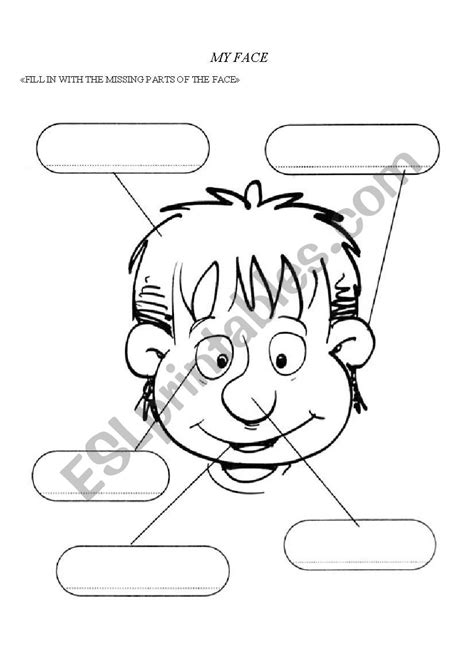 My Face Esl Worksheet By Alexaghe