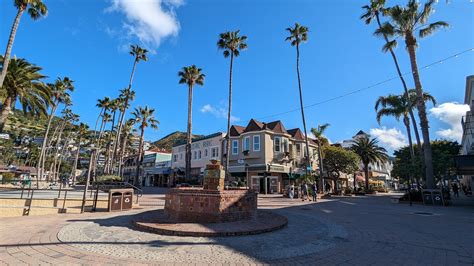 Catalina Scavenger Hunt Walking Tour Scavenger Hunt Walking Tours