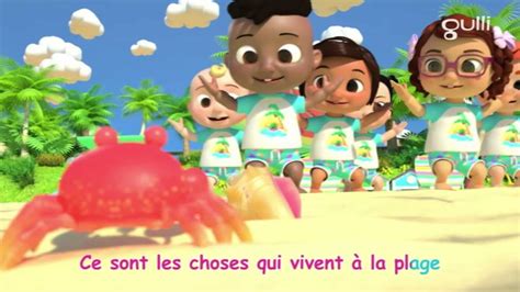 Cocomelon Animaux Les Animaux De La Plage S E En Streaming