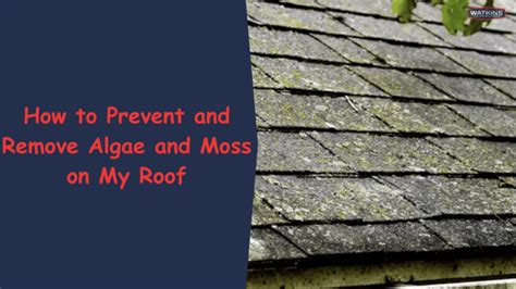 How To Prevent And Remove Algae And Moss On My Roof Watkins