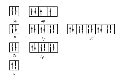 Draw the orbital diagram for each of the elements in the pre | Quizlet