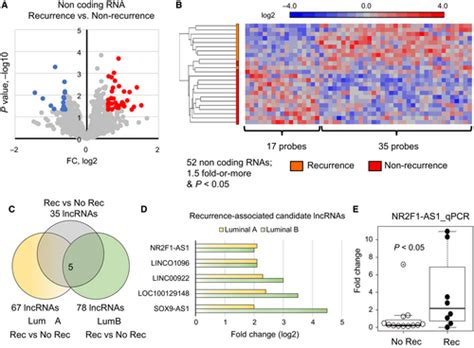 Long Non‐coding Nr2f1‐as1 Is Associated With Tumor Recurrence In