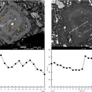 Representative textures revealed by BSE images and associated Mg ...