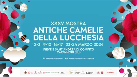 Xxxv Mostra Primaverile Delle Antiche Camelie Della Lucchesia