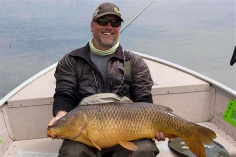 What Is The Biggest Carp Ever Caught Plus Where To Go Guide Recommended