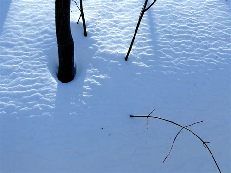 Snow Ripples 1 Dave Bonta Flickr