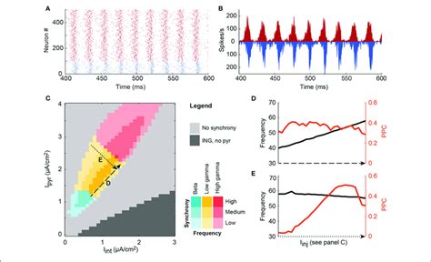 A Single Local Circuit Model Shows Both Asynchronous And Ping And