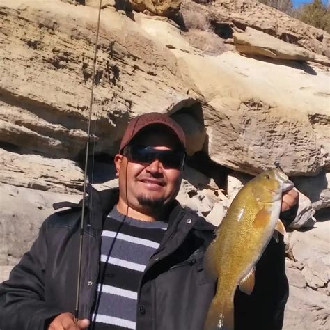 ᐅ Navajo Lake fishing reports🎣• NM, United States fishing