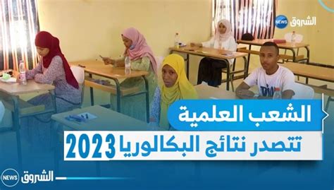 5063 بالمائة نسبة النجاح في شهادة البكالوريا 2023 خدمة نيوز