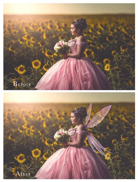 Fine Art Overlays Png Fairy Wings Set Digital Wing Etsy