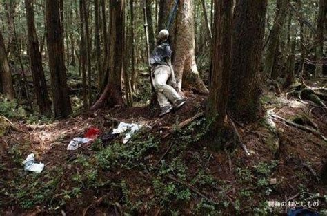 Nota Impresionante Aokigahara El Bosque De Los Suicidios En Japon