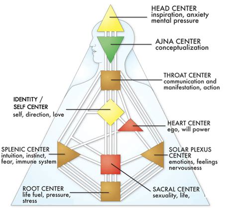 An Intro To Human Design The Nine Centers The Sacral Center