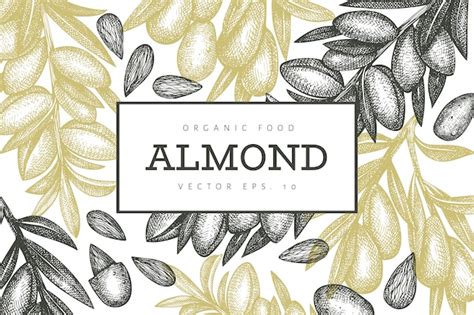 Premium Vector Hand Drawn Sketch Almond Design Template