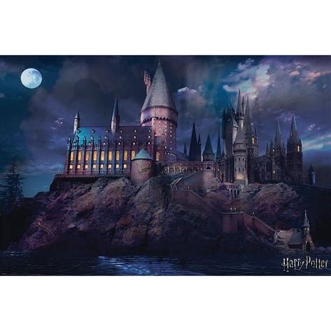 Poster Harry Potter Poudlard École Château Lune 61 X 91 Cm