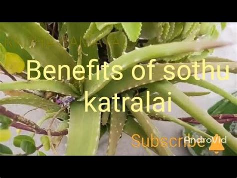 Sothu Katralai Katralai YouTube