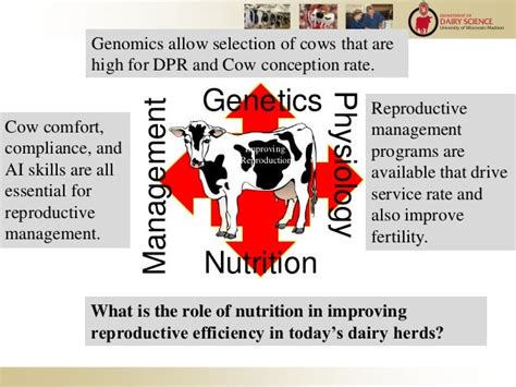 The Role Of Nutrition In Reproduction