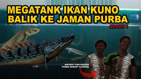 Grebek Kolektor Ikan Kuno Zidan Ancient Fish Keeper Palmas Sampai