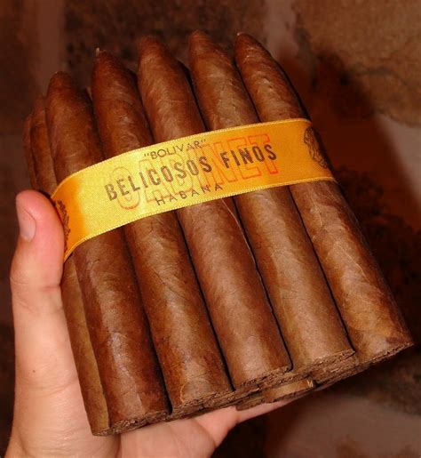 Bolivar Belicosos Finos Cuban Cigars Cigars Cigars And Women