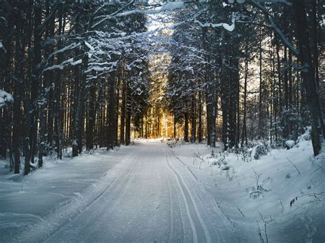 Cross-country Skiing in Norway - Nordiva Tours