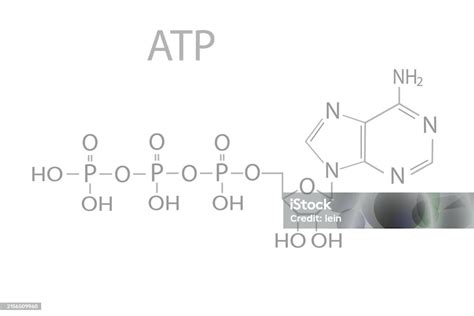 Ilustración De Trifosfato De Adenosina Atp Fórmula Química Esquelética Molecular Y Más Vectores