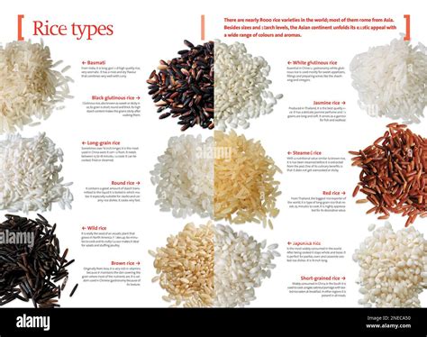 Infographics About The Different Varieties Of Rice Used In Chinese