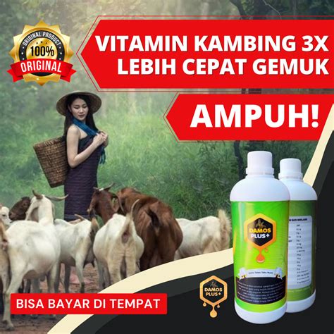 Obat Penggemuk Kambing Original Vitamin Kambing Biargemuk Molase