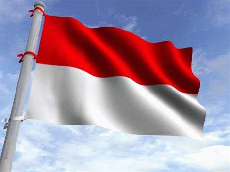 Detail Bendera Indonesia Berkibar Koleksi Nomer 39