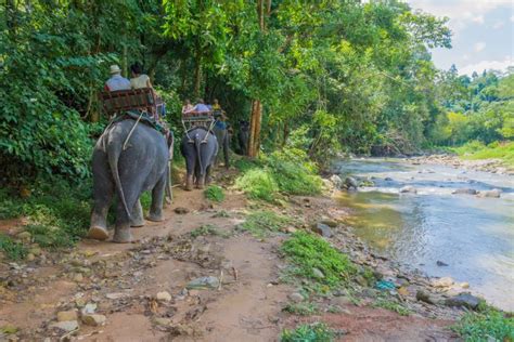 Backwaters and Wildlife Tour Packages at Special Holidays