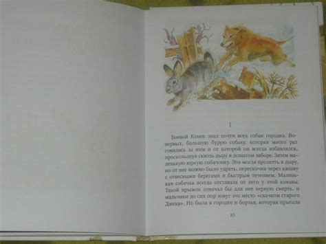 Книга: Домино - Эрнест Сетон-Томпсон. Купить книгу, читать рецензии ...