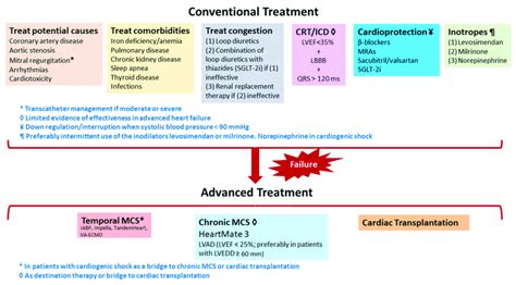 Summary Of Conventional And Advanced Treatment Of Advanced Heart Failure Download Scientific