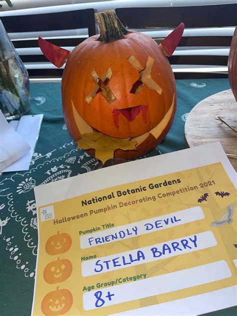 Friendly Devil Stella Barry Age 8 National Botanic Gardens Of Ireland