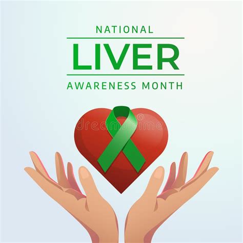 National Liver Cancer Awareness Month Medical Poster Banner Or Flyer