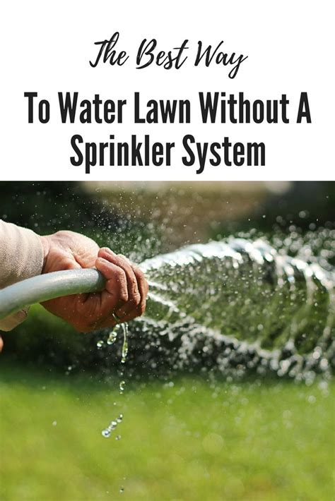 The Best Way To Water Lawn Without A Sprinkler System