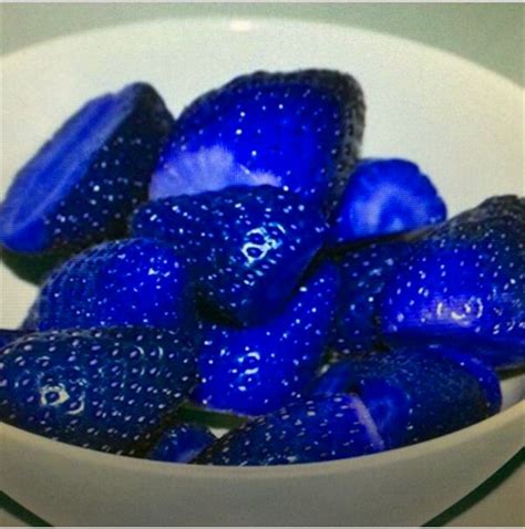 Organic Blue Strawberry Tree Seeds 1000 Pcs Bag